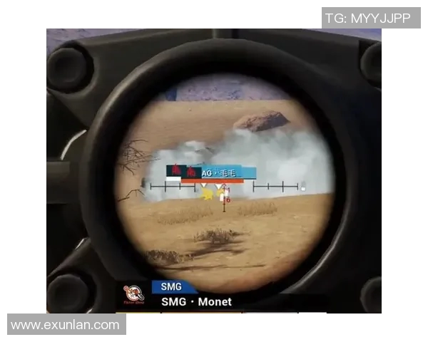 和平精英深度剖析：探寻FPX成功运营背后的秘密与策略