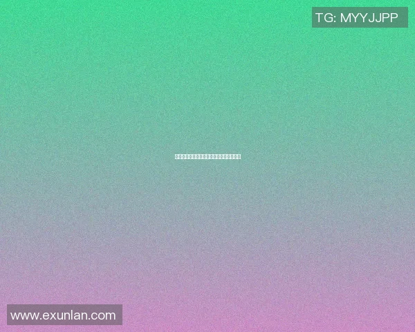 成都飞盘队的运营揭秘与发展探索深度解析