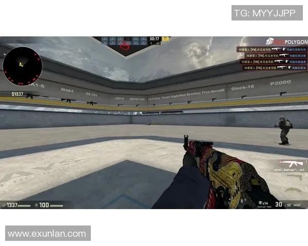 王秀英独家揭秘CSGO游戏技巧与心得分享助你提升战斗力