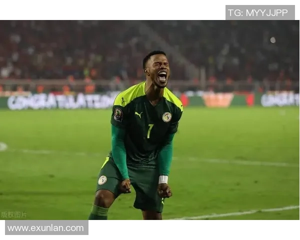 竞彩008巴西对战喀麦隆精彩分析与投注建议全攻略